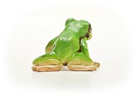 Schleich Wild Life European Tree Frog-3