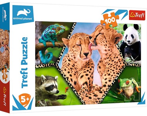 Trefl 100 - Beautiful nature / Discovery Animal Planet