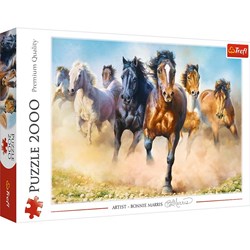 Trefl 2000 - Galloping herd of horses