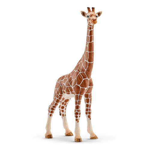 Schleich Wild Life Wijfjesgiraf