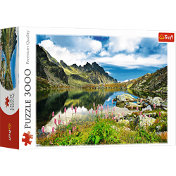 Trefl 3000 - Starolesnianski Pond, Tatras, Slovakia