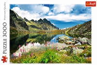 Trefl 3000 - Starolesnianski Pond, Tatras, Slovakia-3
