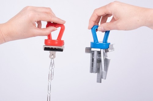 Shaw - Super Magnets Pair-2