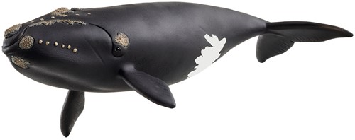 Schleich Wild Life North Atlantic Right Whale