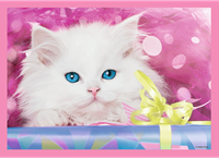 Trefl 4in1 - Fun cats-2