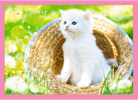 Trefl 4in1 - Fun cats-3