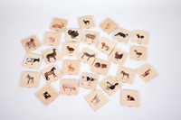 Tickit Familiewedstrijd voor huisdieren-2