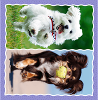 Trefl 3in1 - Lovely dogs-3