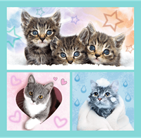Trefl 3in1 - Sweet animals-3