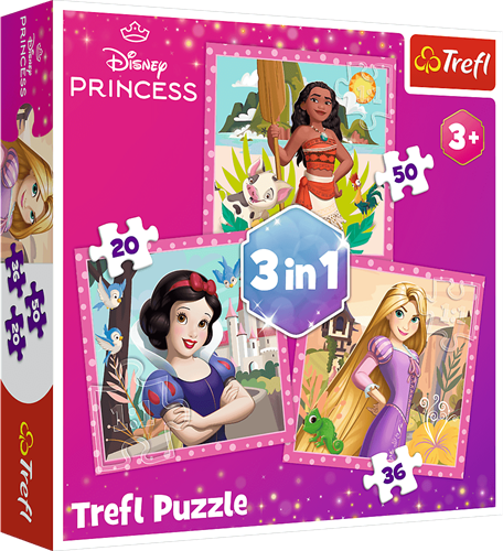 Trefl 3in1 - Beautiful Flowers / Disney Princess