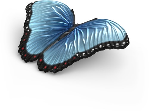 Extra afbeelding voor 39042741