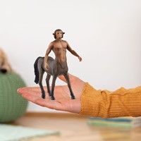 Schleich Wizarding World™  Firenze-3