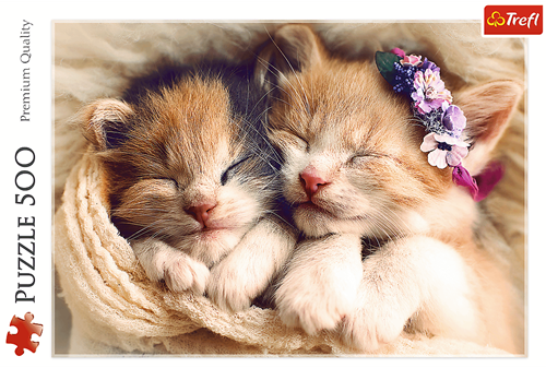 Trefl 500 - Sleeping kittens-3