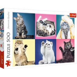 Trefl 500 - Kittens