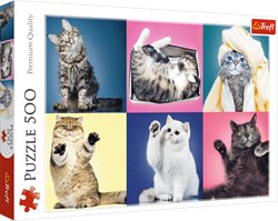 Trefl 500 - Kittens