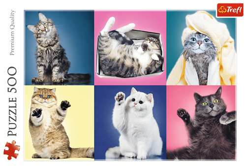 Trefl 500 - Kittens-3