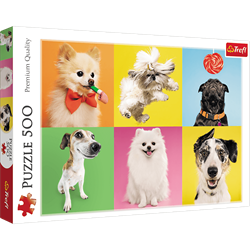 Trefl 500 - Dogs