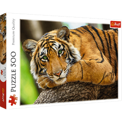 Trefl 500 - Tiger portrait