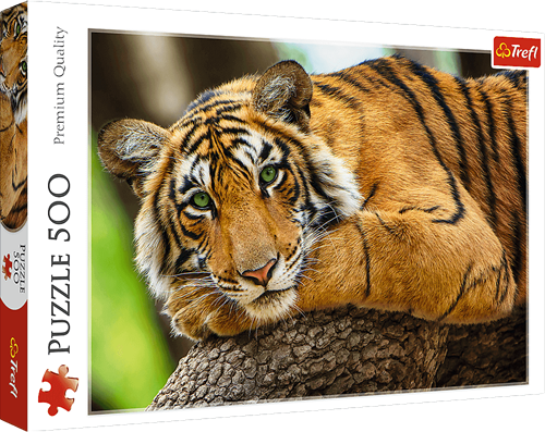 Trefl 500 - Tiger portrait