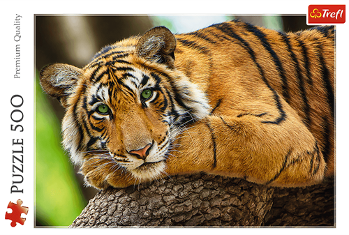 Trefl 500 - Tiger portrait-3