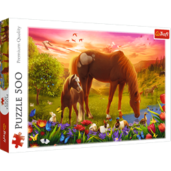 Trefl 500 - Horses in the Meadow