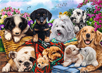 Trefl 500 UFT - Lazy Doggies_FSC Mix 70%-2