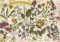 Trefl 500 - Herbarium: Medicinal Herbs-2
