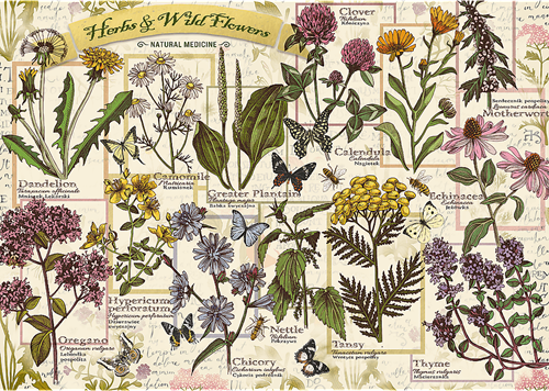 Trefl 500 - Herbarium: Medicinal Herbs-2
