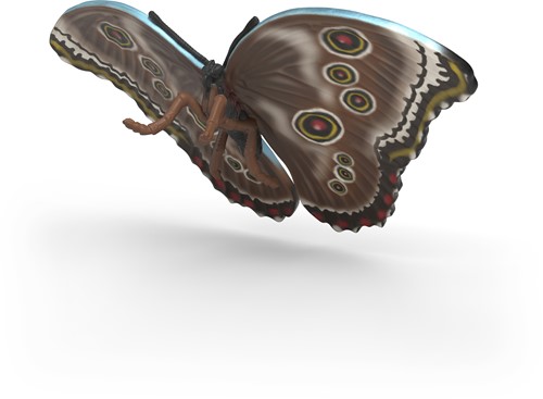 Schleich Wild Life Insects discovery set-3