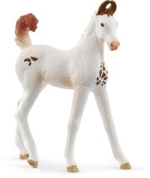 Schleich Horse Club Marwari Foal