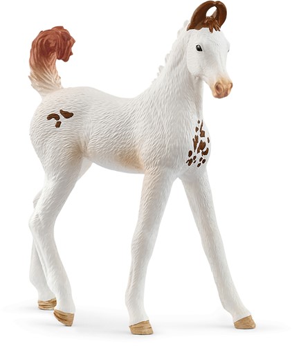Schleich Horse Club Marwari Foal