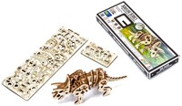 Wooden City - Triceratops-2