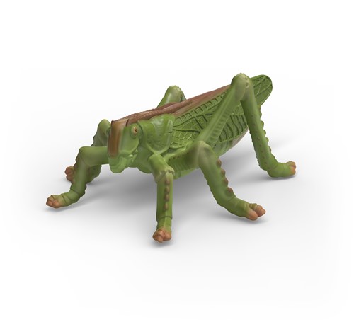 Extra afbeelding voor 39042741