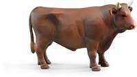 Bruder Stier - bruin