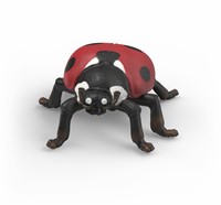 Extra afbeelding voor 39042741