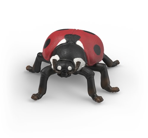 Extra afbeelding voor 39042741