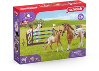 Schleich Horse Club Horse Club Lisa’s toernooitraining-3