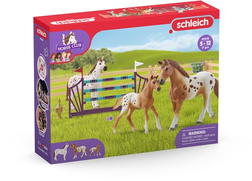 Schleich Horse Club Horse Club Lisa’s toernooitraining-3