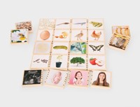 Tickit Houten Levenscyclustegels