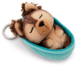 NICI - Sleutelhanger Sleeping Pets dog yorkshire terrier 8cm mand lichtblauw GROEN