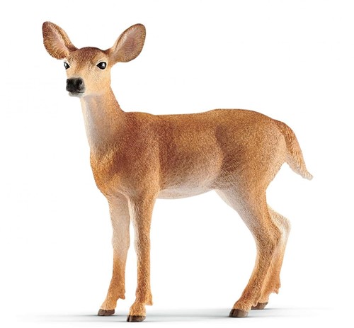 Schleich Wild Life Witstaarthertenkoe