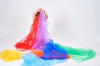 Tickit Regenboog Organza-3