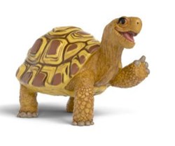Schleich Sdmt School Magical Animals - Turtle Henrietta