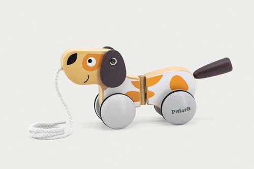POLAR B Trek Puppy