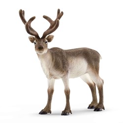 Schleich Wild Life Rendier