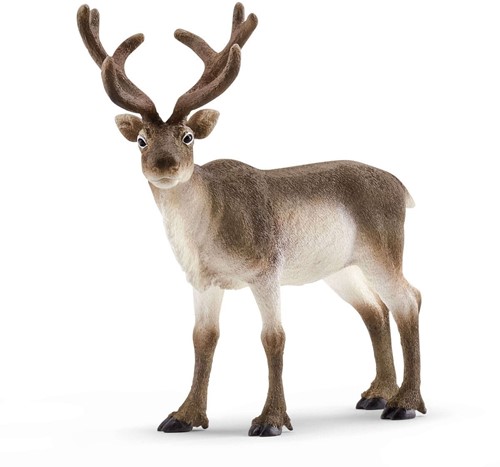 Schleich Wild Life Rendier