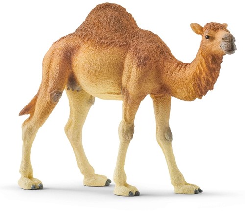 Schleich Wild Life Dromedaris
