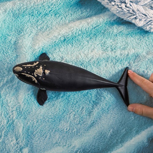 Schleich Wild Life North Atlantic Right Whale-2
