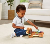 Vtech - Timmie Teckel Xylofoon-3