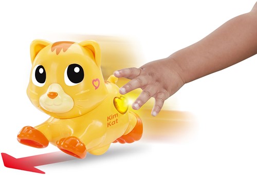 Vtech - RDD - Kim Kat-2